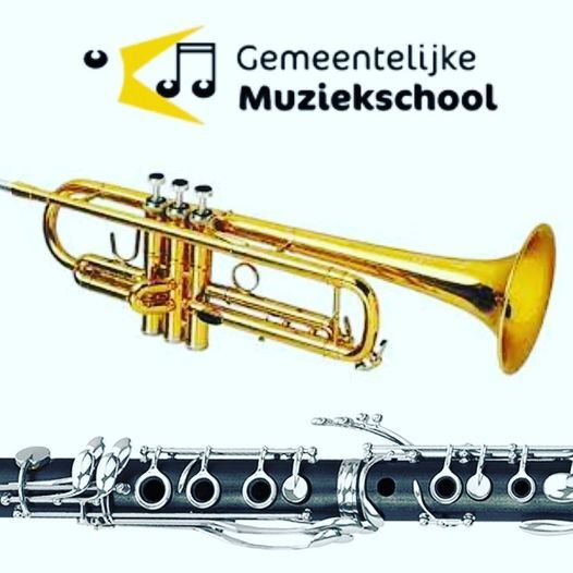 Muzieklessen van de Muziekschool Bloemendaal